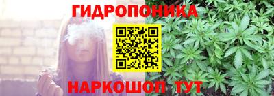 гидра Пенза
