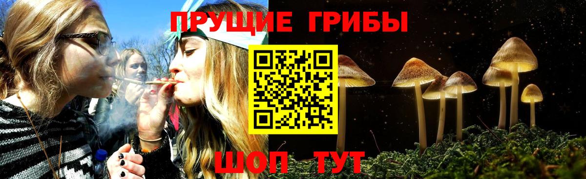 Псилоцибиновые грибы Psilocybine cubensis  Вход с VPN  Протвино 